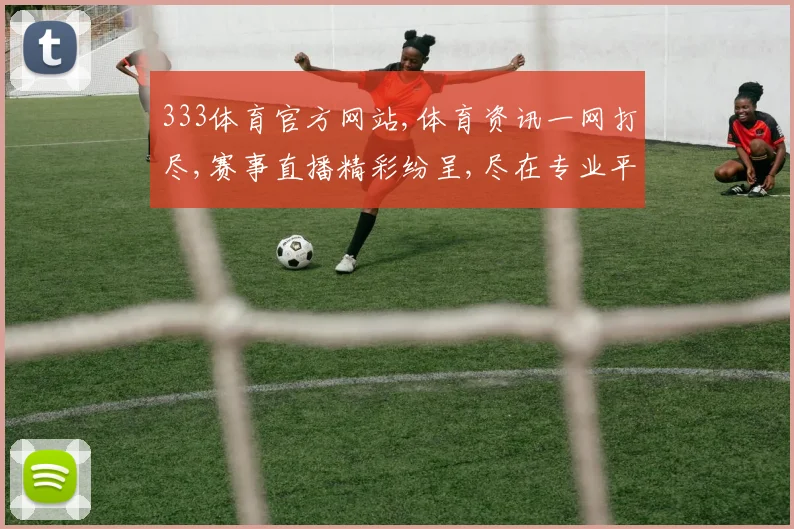 333体育官方网站,体育资讯一网打尽,赛事直播精彩纷呈,尽在专业平台
